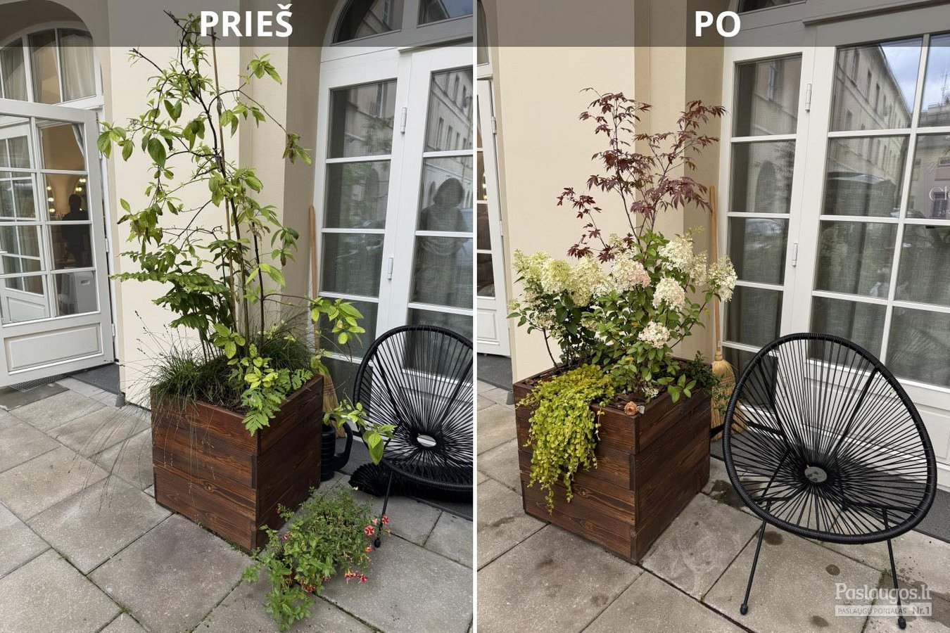 Terasos augalų kompozicijos prieš ir po atnaujinimo